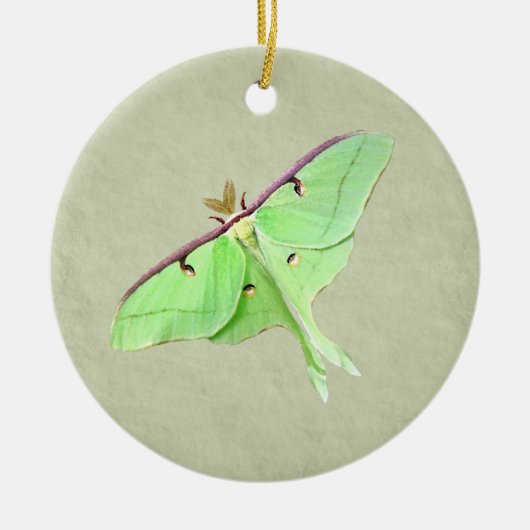 Luna Moth Ornament (Voorkant)