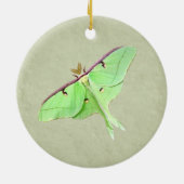 Luna Moth Ornament (Achterkant)