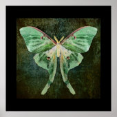 Luna Moth Print (Voorkant)