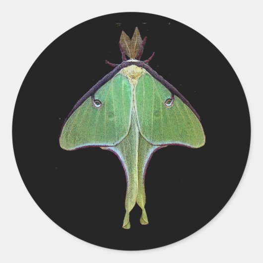 Luna Moth Ronde Sticker (Voorkant)