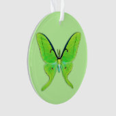 Luna moth sur un arrière - plan vert pâle (devant)