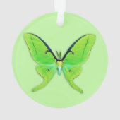 Luna moth sur un arrière - plan vert pâle (dos)