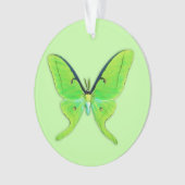 Luna moth sur un arrière - plan vert pâle (devant)