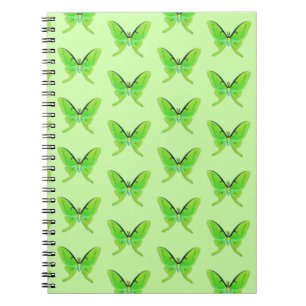 Luna moth sur un carnet arrière - plan vert pâle