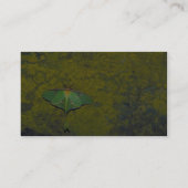 Luna moth visitekaartje (Achterkant)