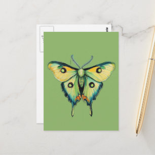 Luna-motschildering op groen briefkaart