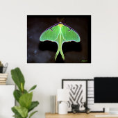 Luna-mottenfotoposter Poster (Thuiskantoor)