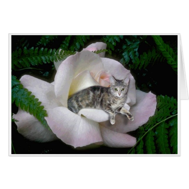 Luna Roos (Voorkant Horizontaal)