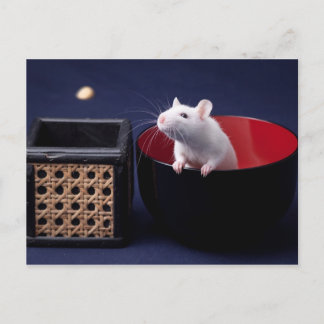 Luna Table Briefkaart