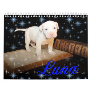 Luna the Saved Abandoned Puppy Dog Kalender