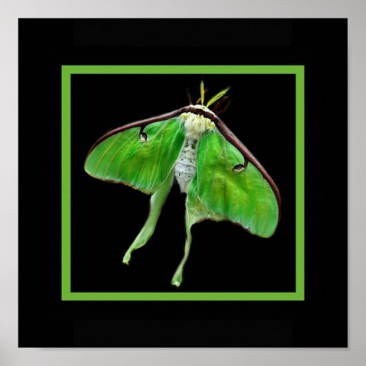 lunablackverticle, LunaonBlackframe Poster (Voorkant)