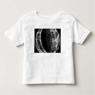 Lunar eclipse kinder shirts