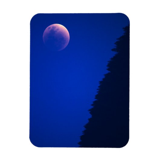 Lunar Eclipse over bos | Zug, Zwitserland Magneet (Verticaal)