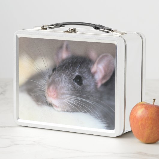 Lunch Box Adorable (En situation)