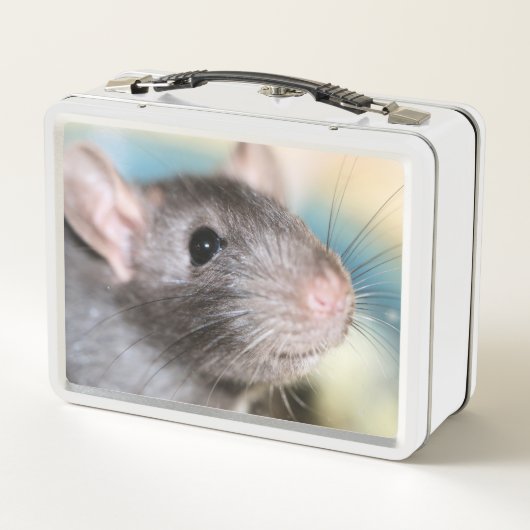 Lunch Box Adorable (Dos)