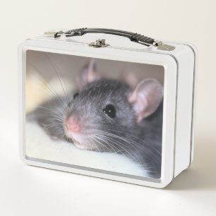 Lunch Box Adorable