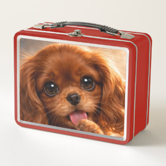 Lunch Box Adorable Cavalier Spaniel Rubis