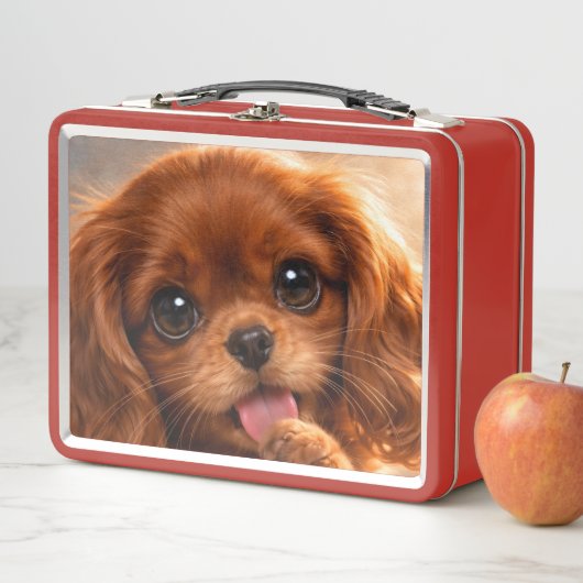 Lunch Box Adorable Ruby Cavalier Spaniel (En situation)