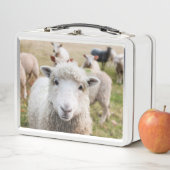 Lunch Box Agneau (En situation)