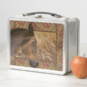 Lunch Box Agritourisme Pony (En situation)
