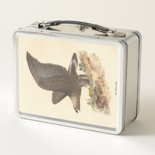 Lunch Box Aigle d'or (Aquila chrysaetos) NY Bird Image