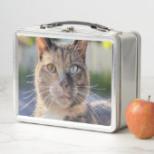 Lunch Box Ajouter une Personnaliser photo de chat (En situation)
