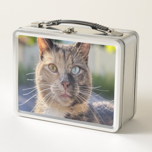 Lunch Box Ajouter une Personnaliser photo de chat (Devant)