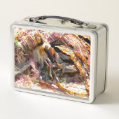 LUNCH BOX ALGUES (Dos)