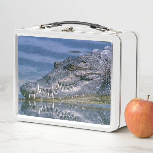 Lunch Box Alligator (En situation)