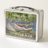 Lunch Box Alligator Funny Wildlife PhotoReptile (Devant)