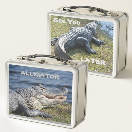 Lunch Box Alligator Vous Voir Plus Tard Photographie Faune