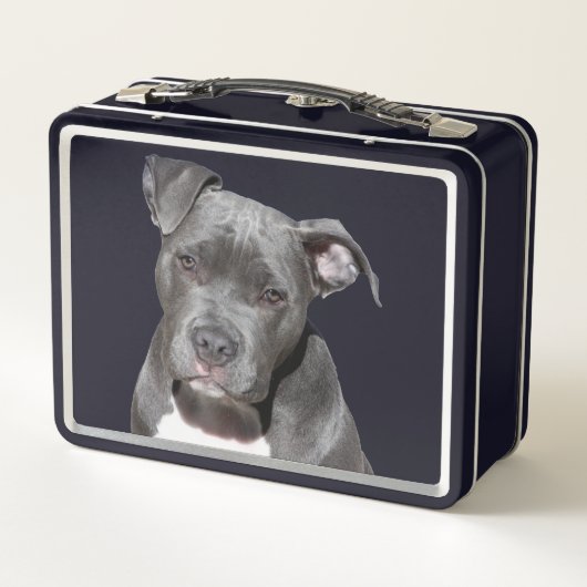 Lunch Box American Pit Bull Terrier (Dos)