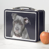 Lunch Box American Pit Bull Terrier (En situation)
