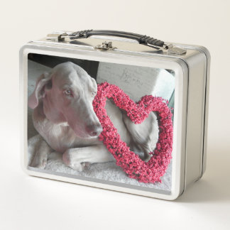 Lunch Box Amour, pluie - Chien Weimaraner
