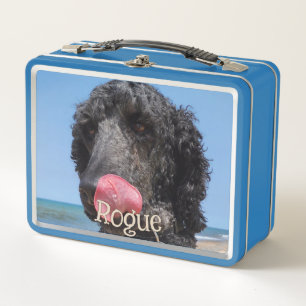 Lunch Box Animal de compagnie personnalisé