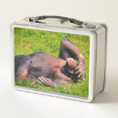 Lunch Box Animal drôle de chimpanzé (Dos)