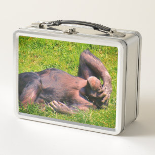 Lunch Box Animal drôle de chimpanzé