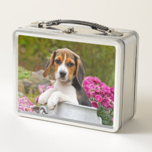 Lunch Box Animal familier tricolore mignon de chiot de chien