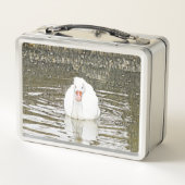 Lunch Box Animal SmartMix - Swan (Dos)