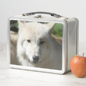 Lunch Box Animaux polaires - Loup (En situation)