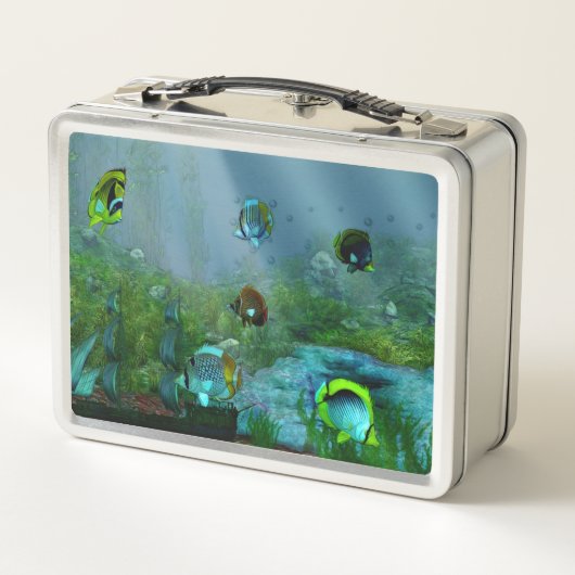 Lunch Box Aquarium Fish Tank (Dos)