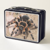 Lunch Box Araignée de Tarantula au genou rouge mexicain (Dos)