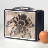 Lunch Box Araignée de Tarantula au genou rouge mexicain (En situation)