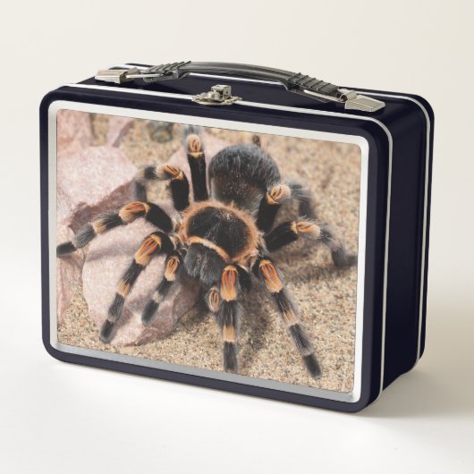 Lunch Box Araignée de Tarantula au genou rouge mexicain (Devant)