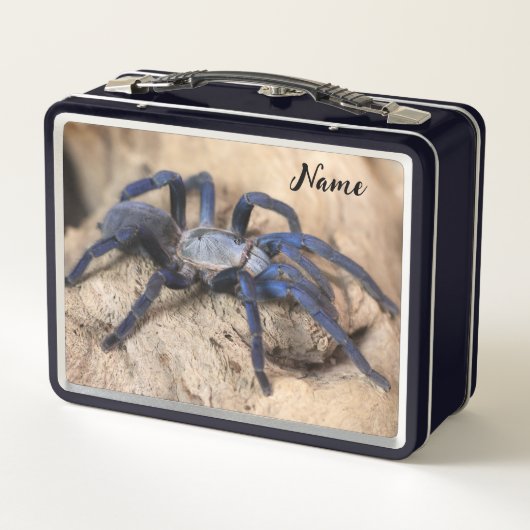Lunch Box Araignée de Tarantula Bleue de Cobalt (Dos)