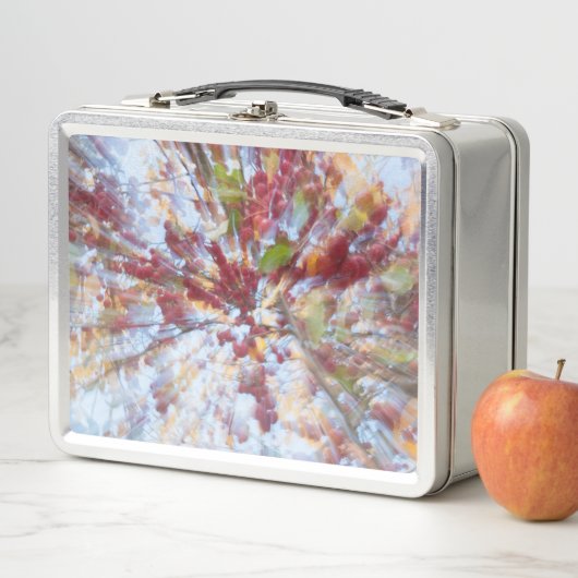 Lunch Box Arbre à fruits Abstrait (En situation)