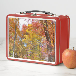 Lunch Box Arbres automnes oranges et jaunes Photographie d'a