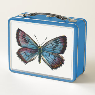 Lunch Box Arion glaucopsyche - Le Grand Papillon Bleu