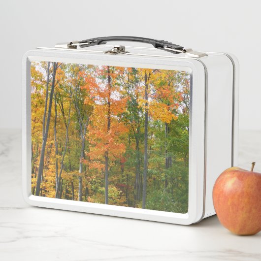 Lunch Box Automne Maple Trees Automne Photographie de la nat (En situation)