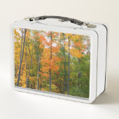 Lunch Box Automne Maple Trees Automne Photographie de la nat (Dos)